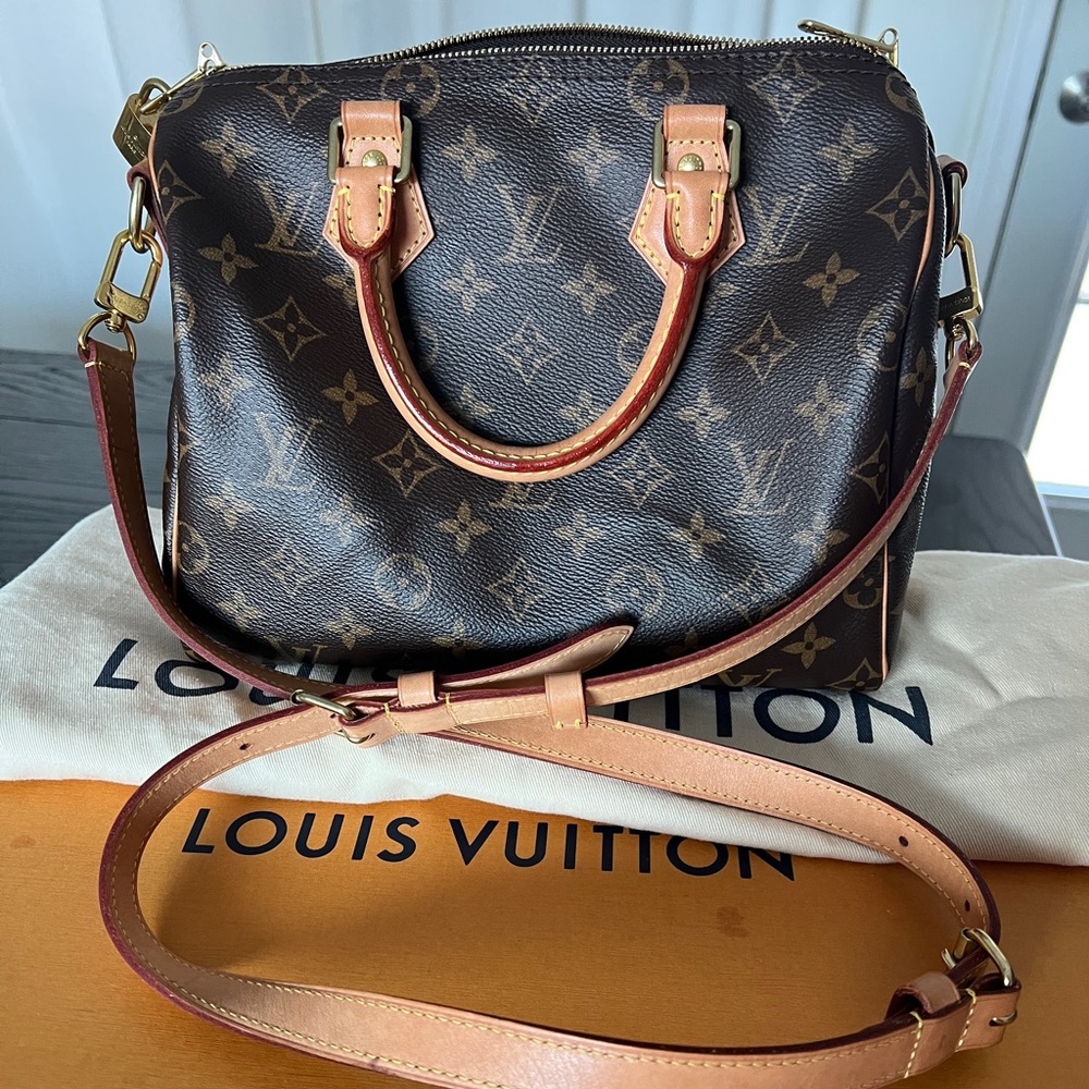 Louis Vuitton Brown Monogram Satchel